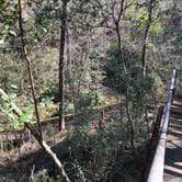 Review photo of Mike Roess Gold Head Branch State Park Campground & Cabins by Angela M., February 26, 2021