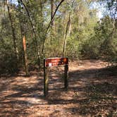 Review photo of Mike Roess Gold Head Branch State Park Campground & Cabins by Angela M., February 26, 2021