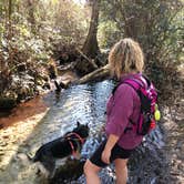 Review photo of Mike Roess Gold Head Branch State Park Campground & Cabins by Angela M., February 26, 2021