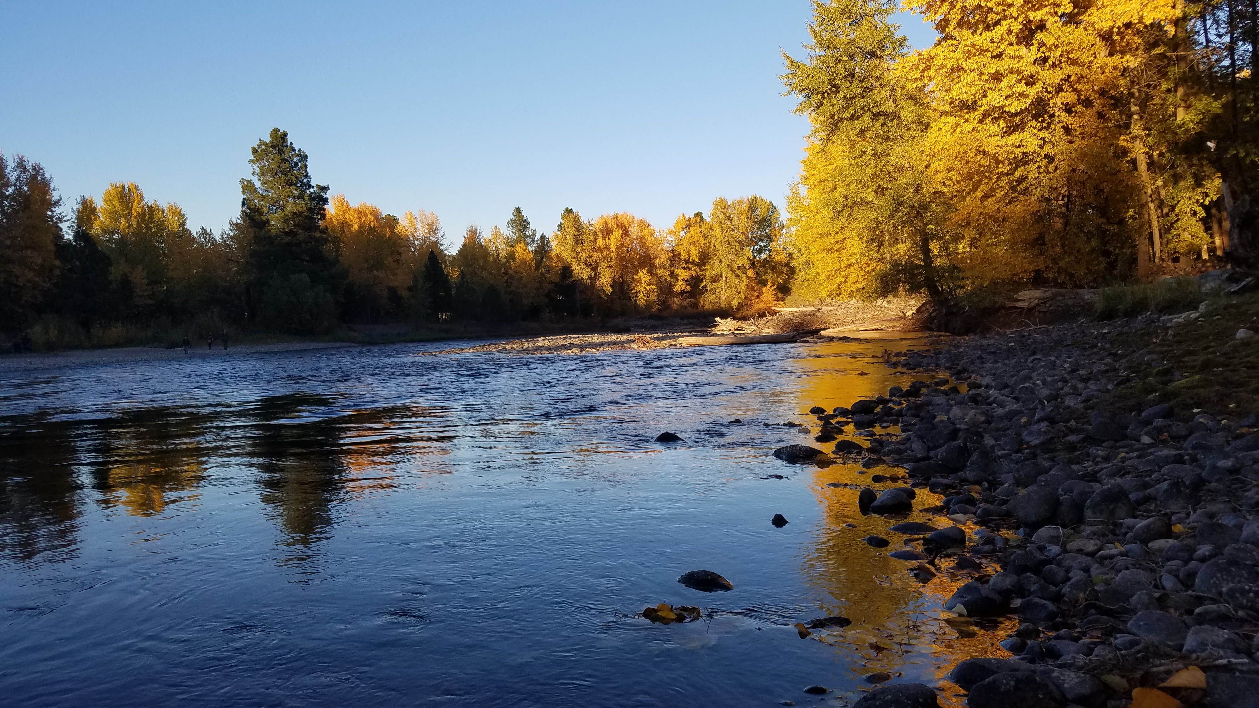 Mountain River Trails Camping The Dyrt