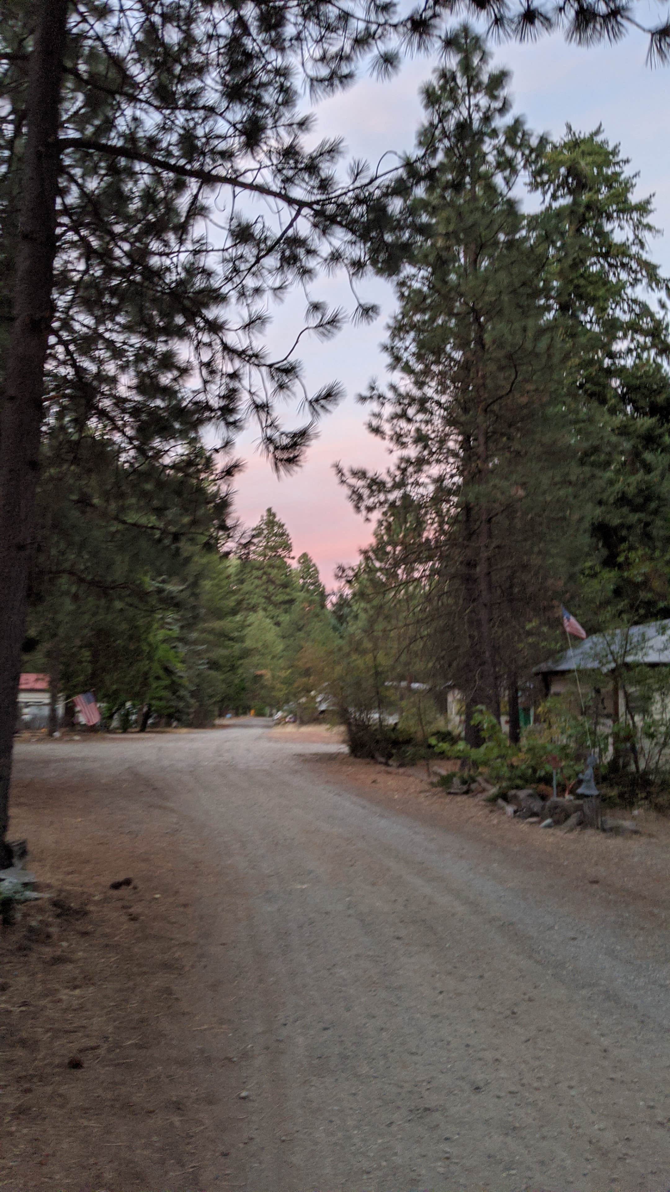 Mountain River Trails Camping The Dyrt