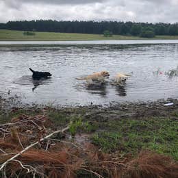 H. Cooper Black Jr. Field Trial Area