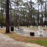 Review photo of Myrtle Beach KOA by Cyndi B., February 27, 2021