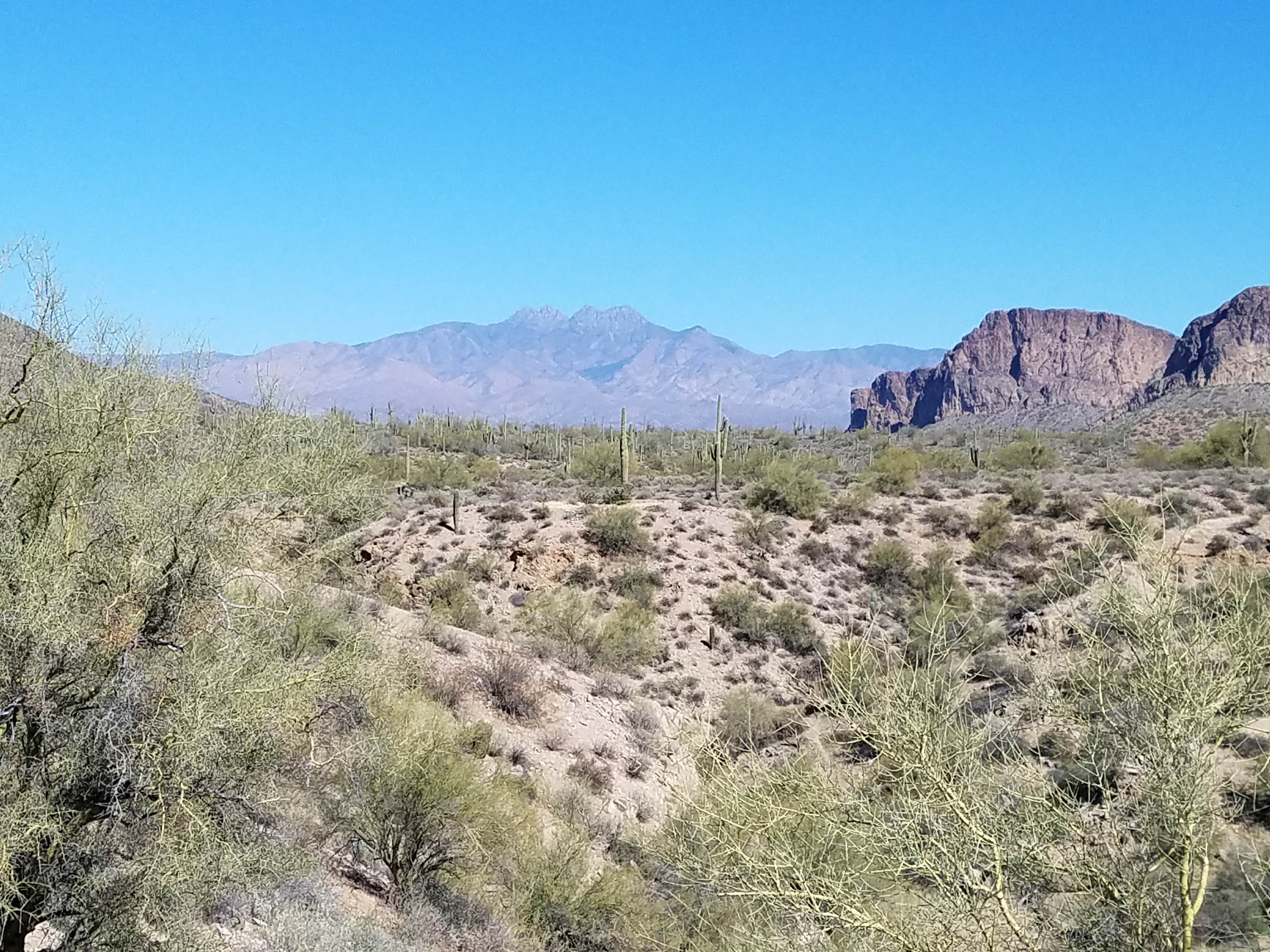 Camper-submitted photo at Bulldog Canyon Dispersed Camping - North Entrance near Gold Canyon, AZ