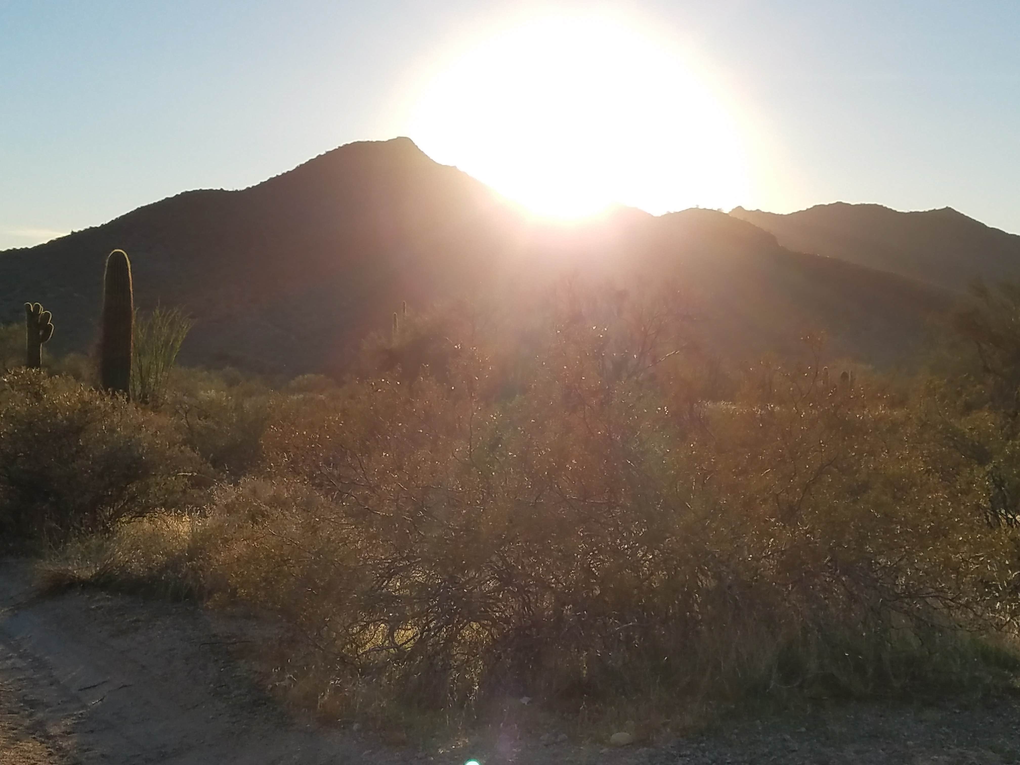 Camper submitted image from Bulldog Canyon Dispersed Camping - West Entrance - 2