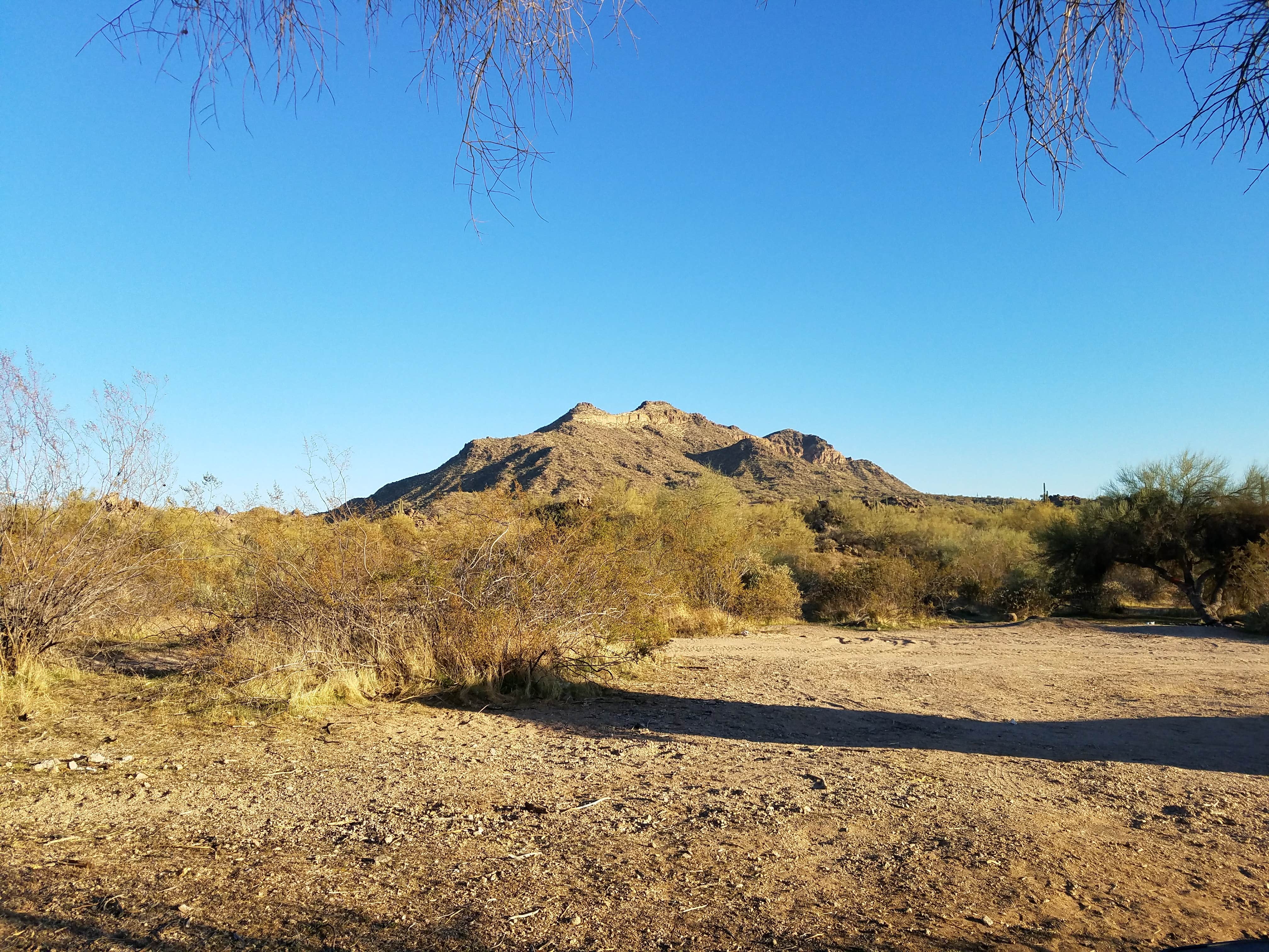 Camper-submitted photo at Bulldog Canyon Dispersed Camping - West Entrance near Salt River, AZ
