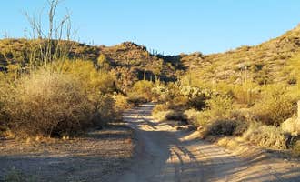 Camping near Hackamore Road Dispersed : Bulldog Canyon Dispersed Camping - West Entrance, Apache Junction, Arizona