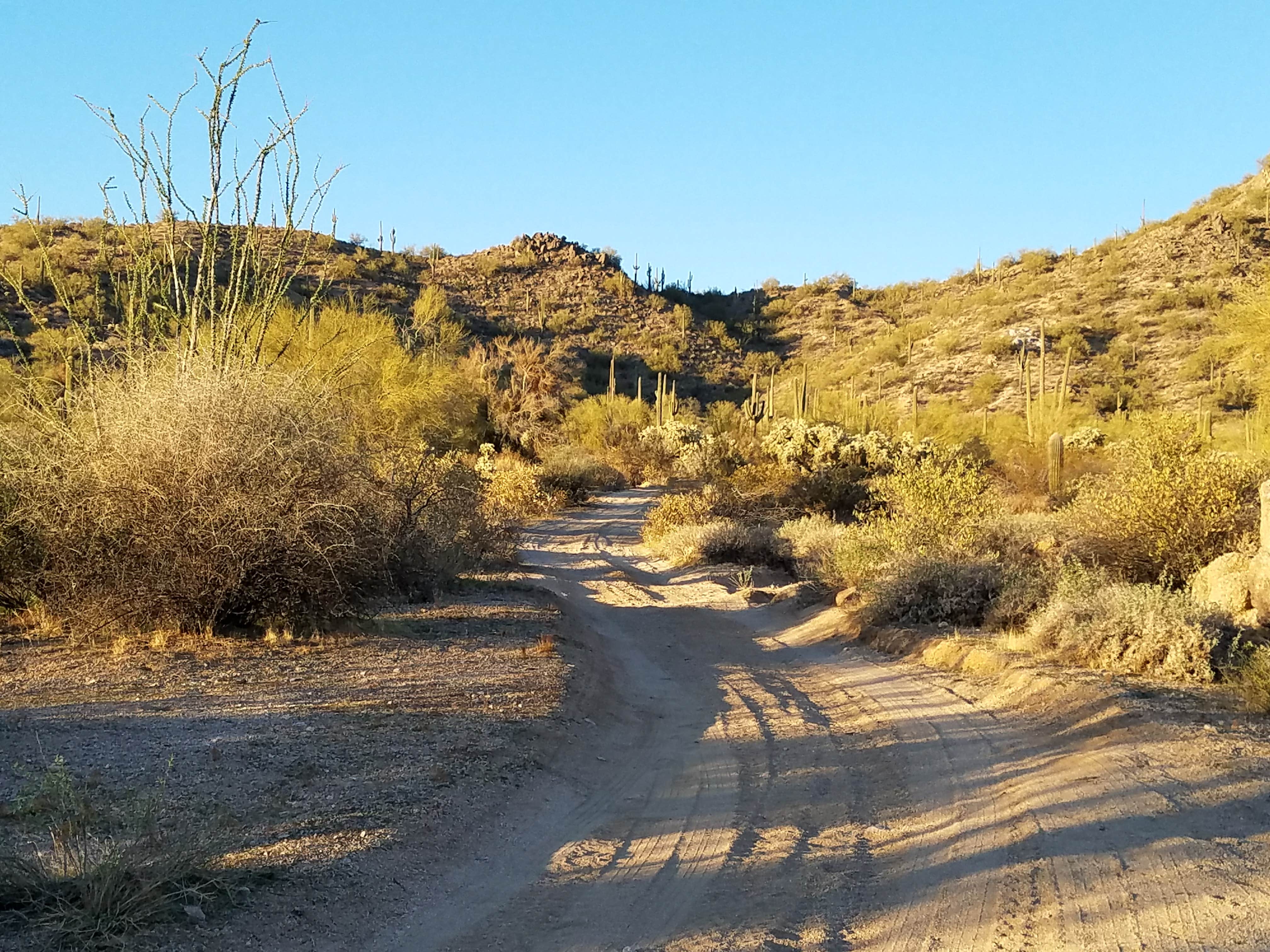 Camper submitted image from Bulldog Canyon Dispersed Camping - West Entrance - 1