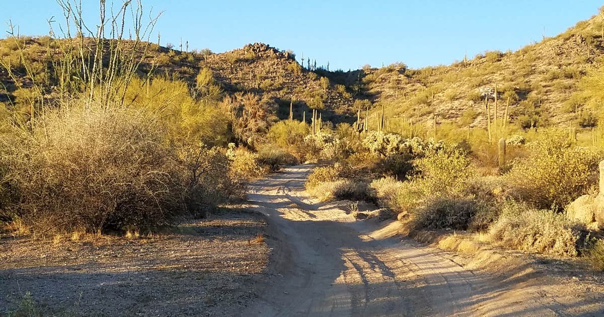 Bulldog Canyon Dispersed Camping - West Entrance