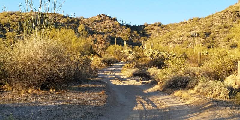 Camper submitted image from Bulldog Canyon Dispersed Camping - West Entrance