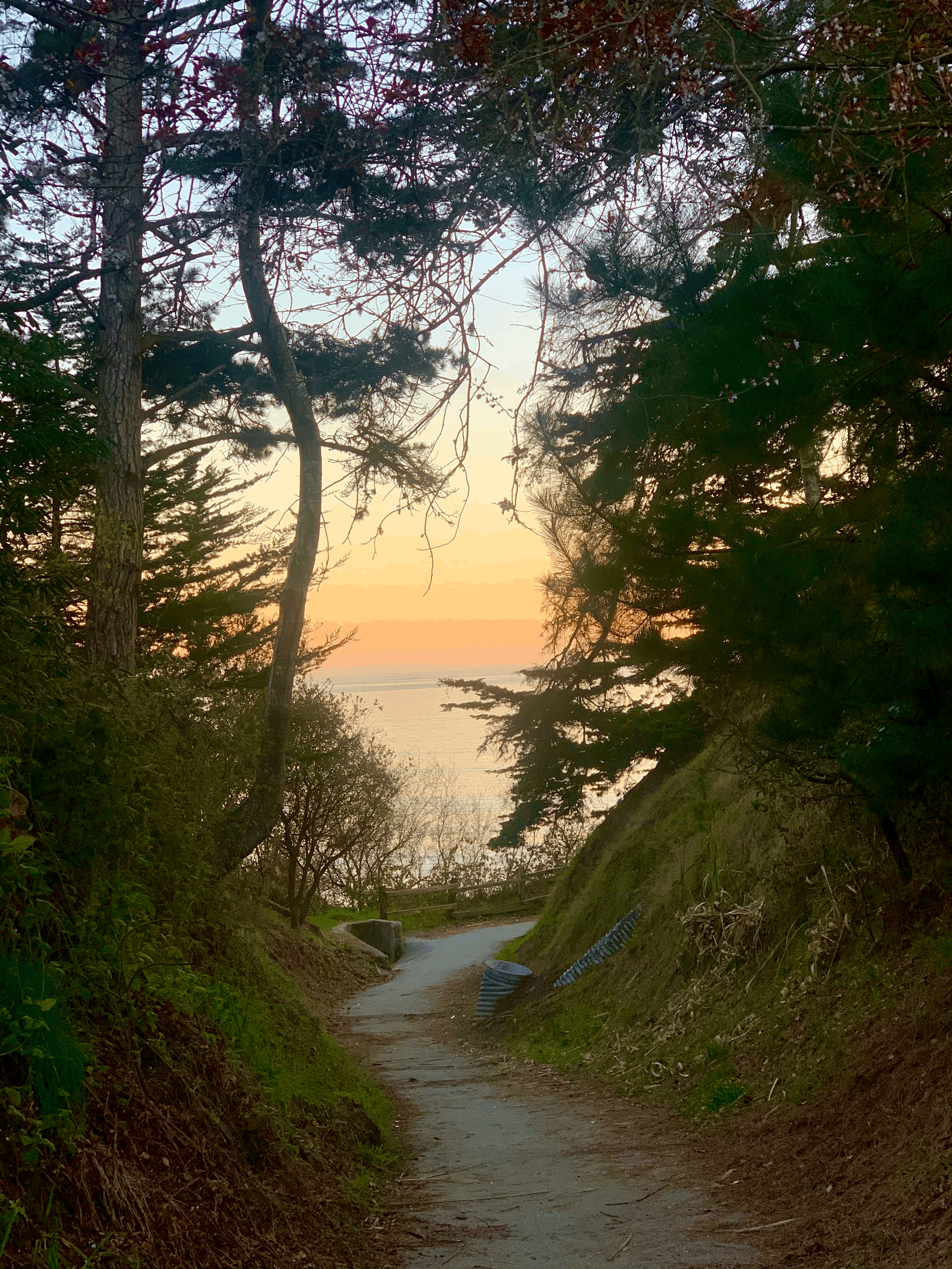 Camper-submitted photo at New Brighton State Beach Campground near Moss Landing, CA