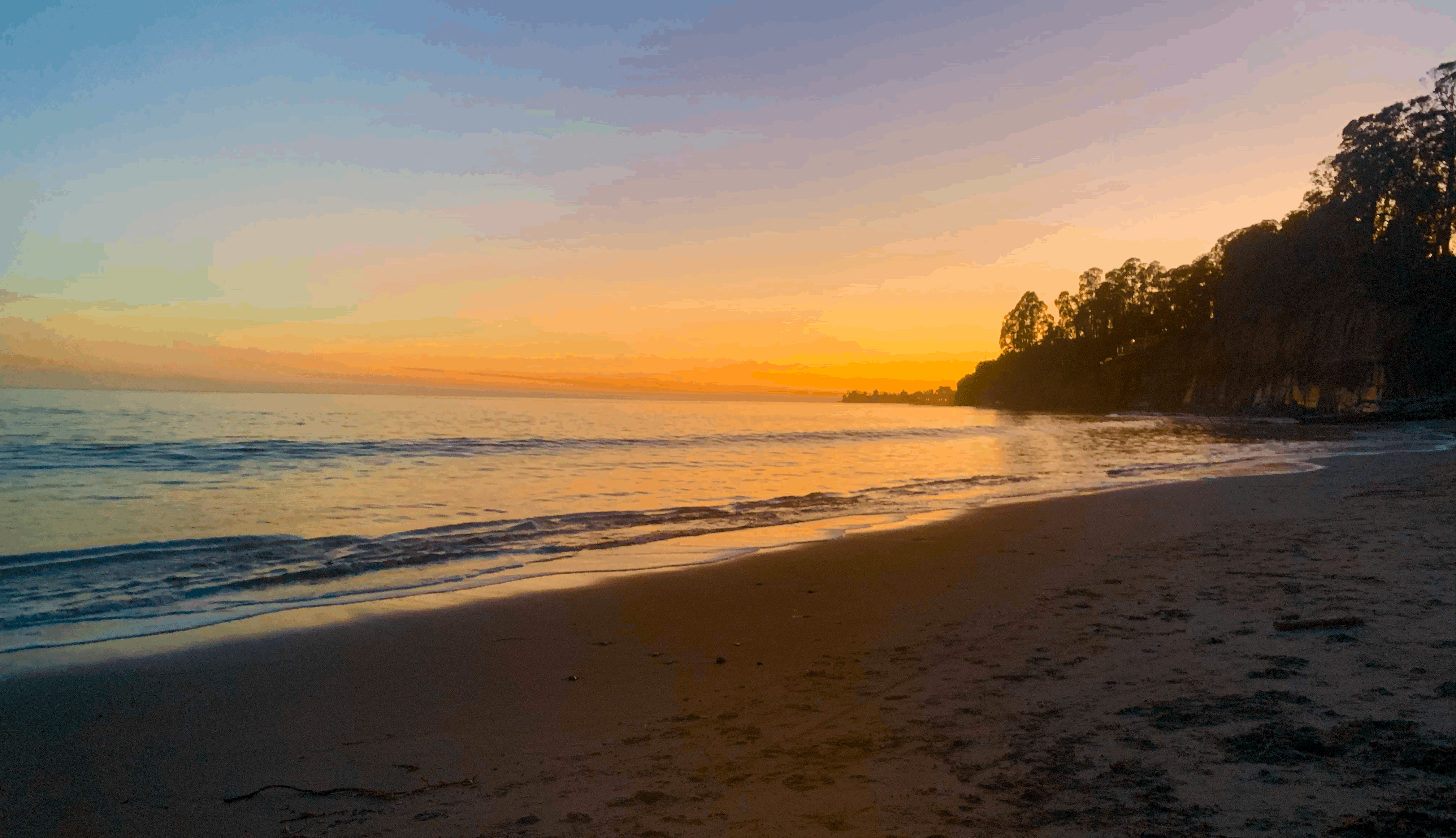 New Brighton State Beach Campground