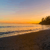 Review photo of New Brighton State Beach Campground by Laura M., February 27, 2021