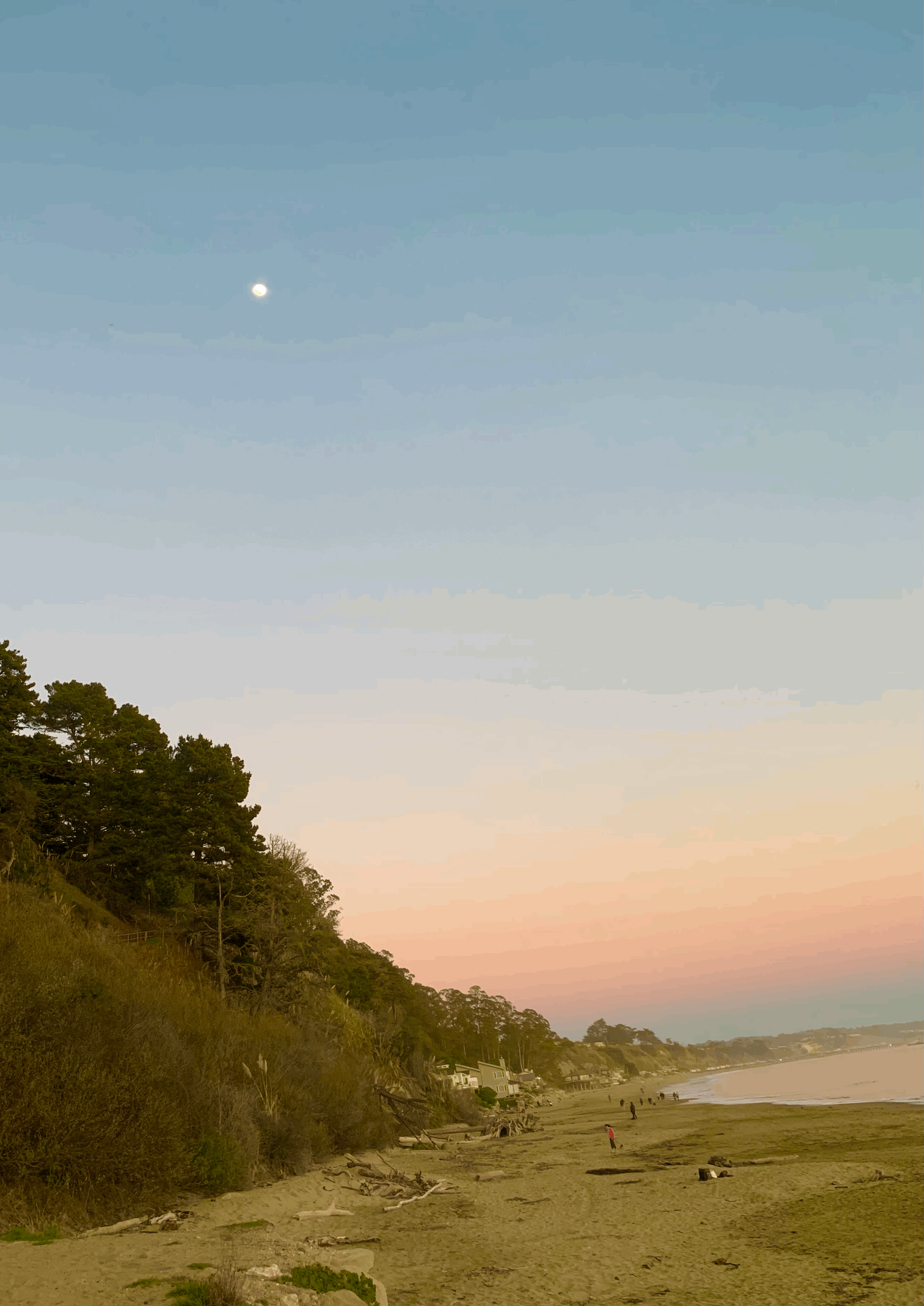 New Brighton State Beach Campground