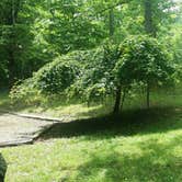 Review photo of Rocky Bluff Campground — National Forests In North Carolina by Court M., May 29, 2018