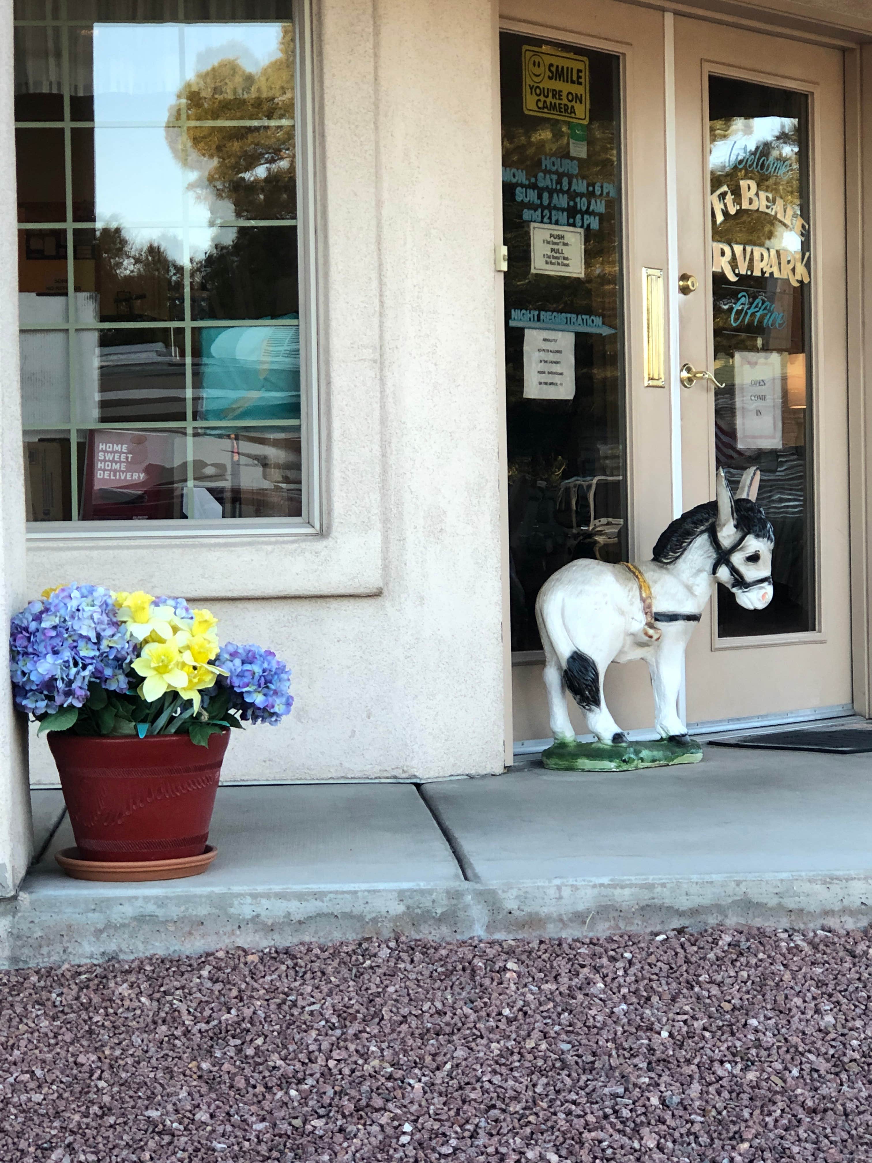 Camper-submitted photo at Fort Beale RV Park near Yucca, AZ