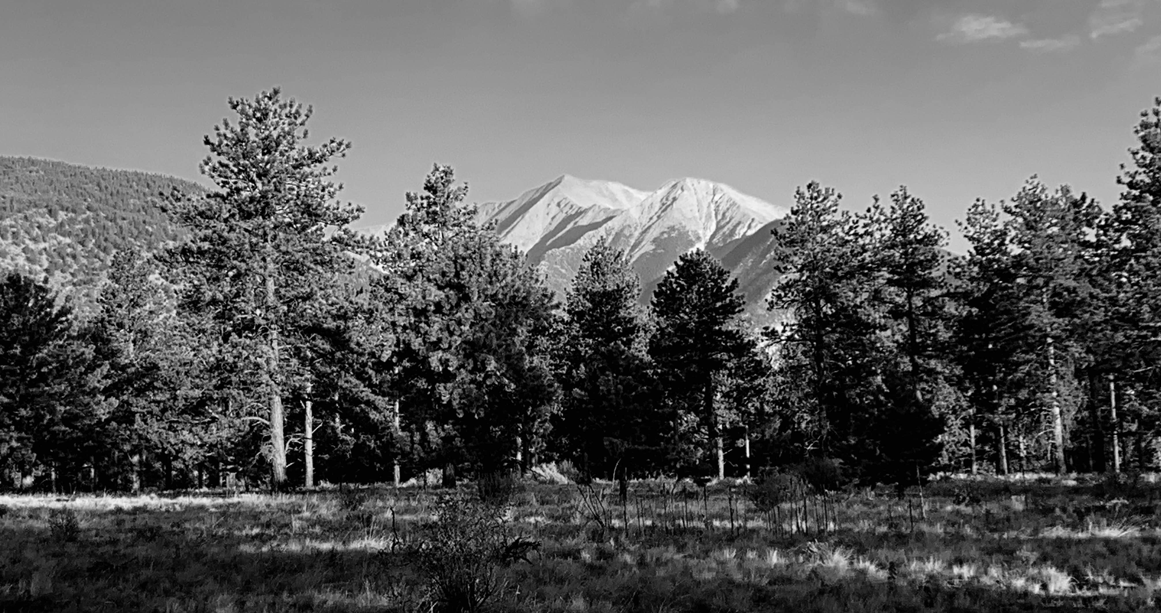 Mount Shavano Dispersed Camping | Salida, CO