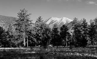 Camping near Hendricks Flat: Mount Shavano Dispersed Camping, Poncha Springs, Colorado
