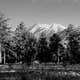 Mount Shavano Dispersed Camping