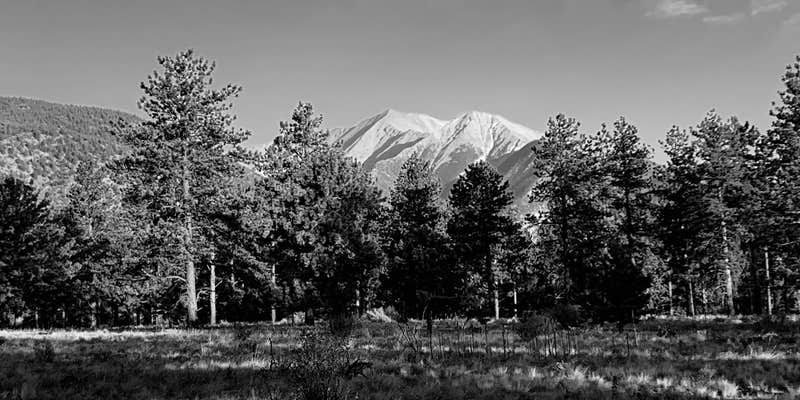 Camper submitted image from Mount Shavano Dispersed Camping