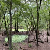 Review photo of Dogwood Campground — O'Leno State Park by Perry J., February 27, 2021