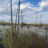 Review photo of Stephen C. Foster State Park Campground by Daniel S., February 27, 2021