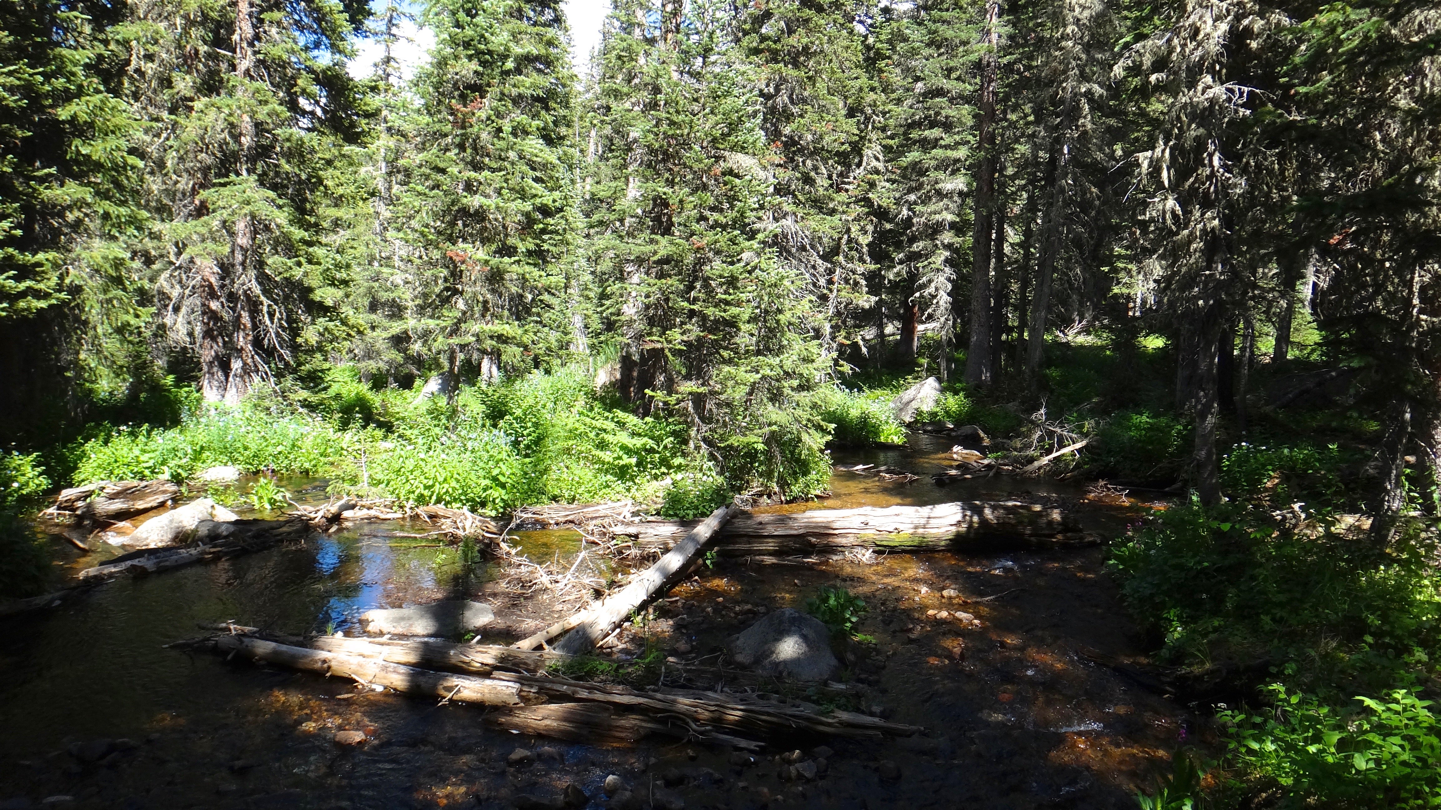 Camper submitted image from Iceberg Lake Backcountry Campground - 3