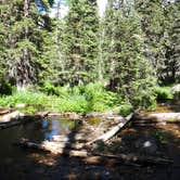 Review photo of Iceberg Lake Backcountry Campground by Daniel  B., May 29, 2018