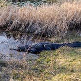 Review photo of Stephen C. Foster State Park Campground by Daniel S., February 27, 2021