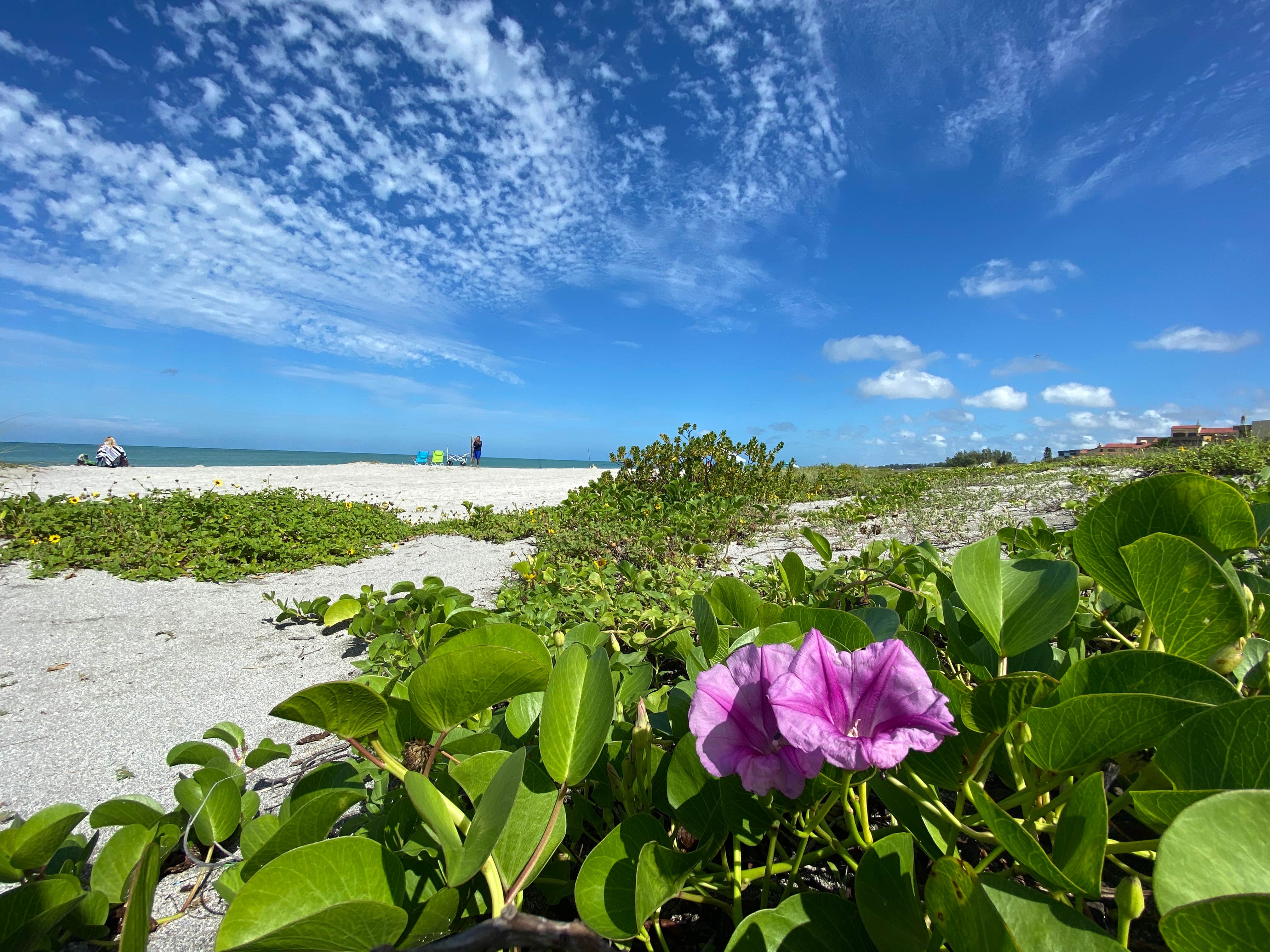 Camper-submitted photo at Turtle Beach Campground near Bradenton, FL