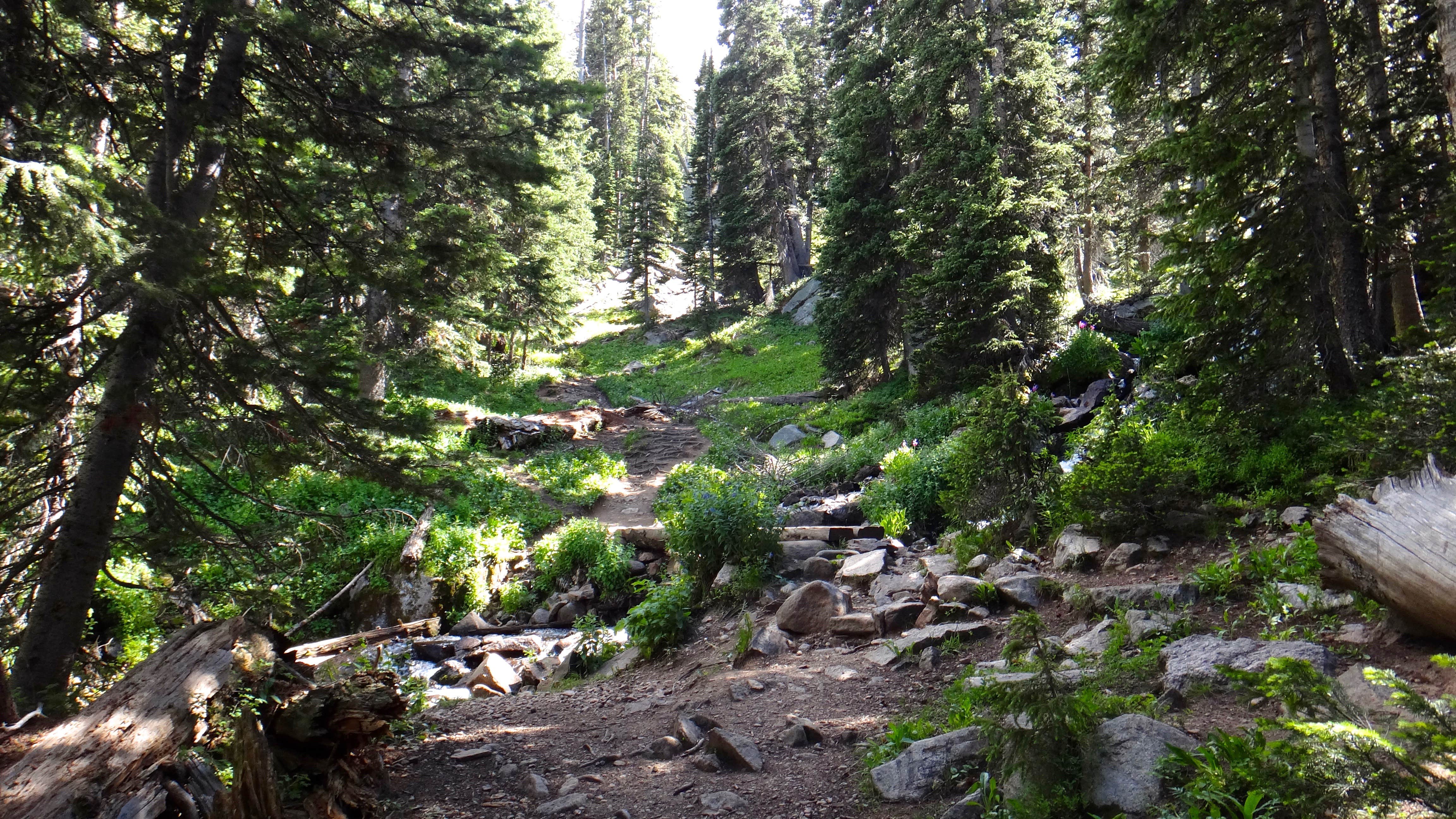 Camper submitted image from Iceberg Lake Backcountry Campground - 2