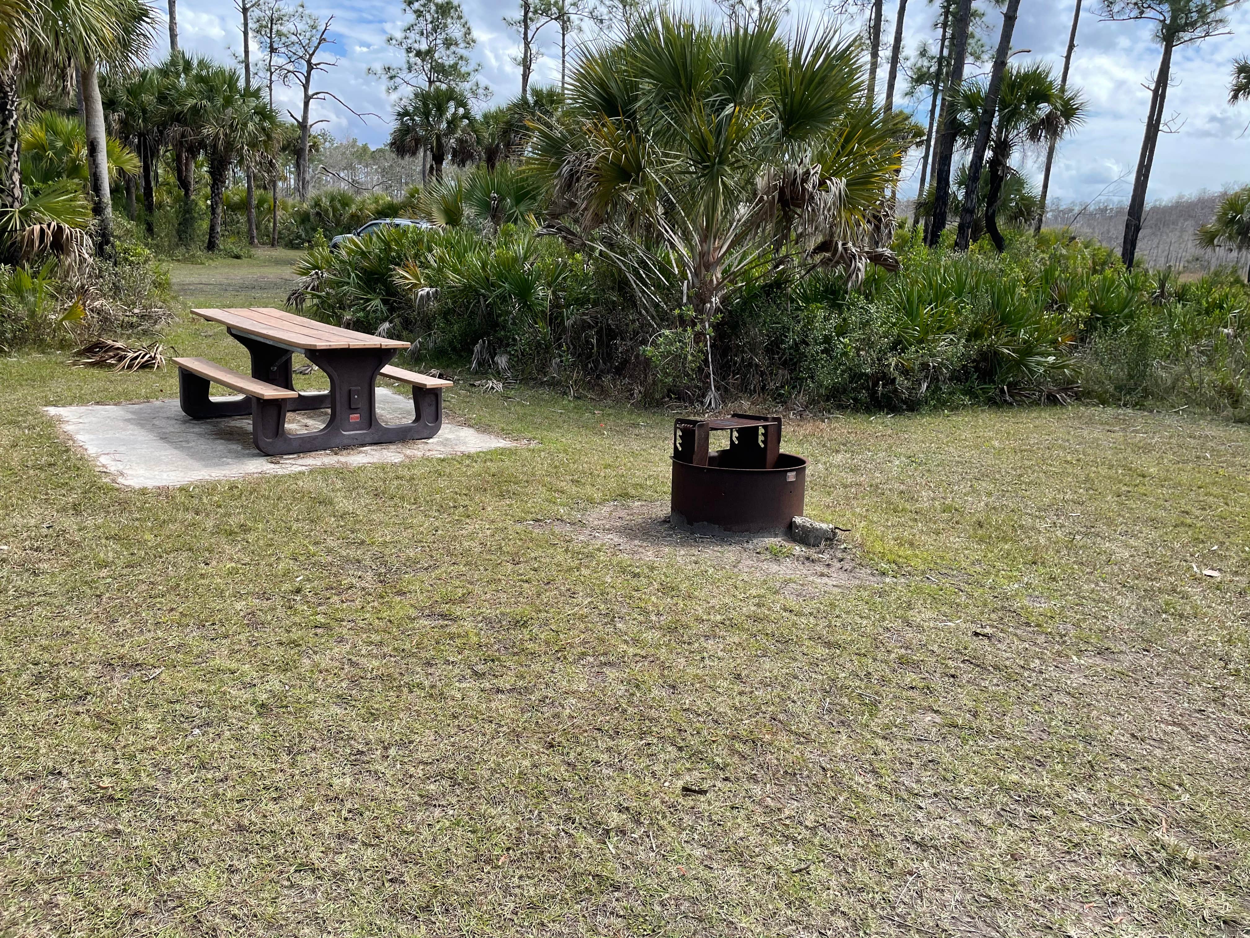 Camper-submitted photo at Bear Island Campground — Big Cypress National Preserve near Big Cypress National Preserve