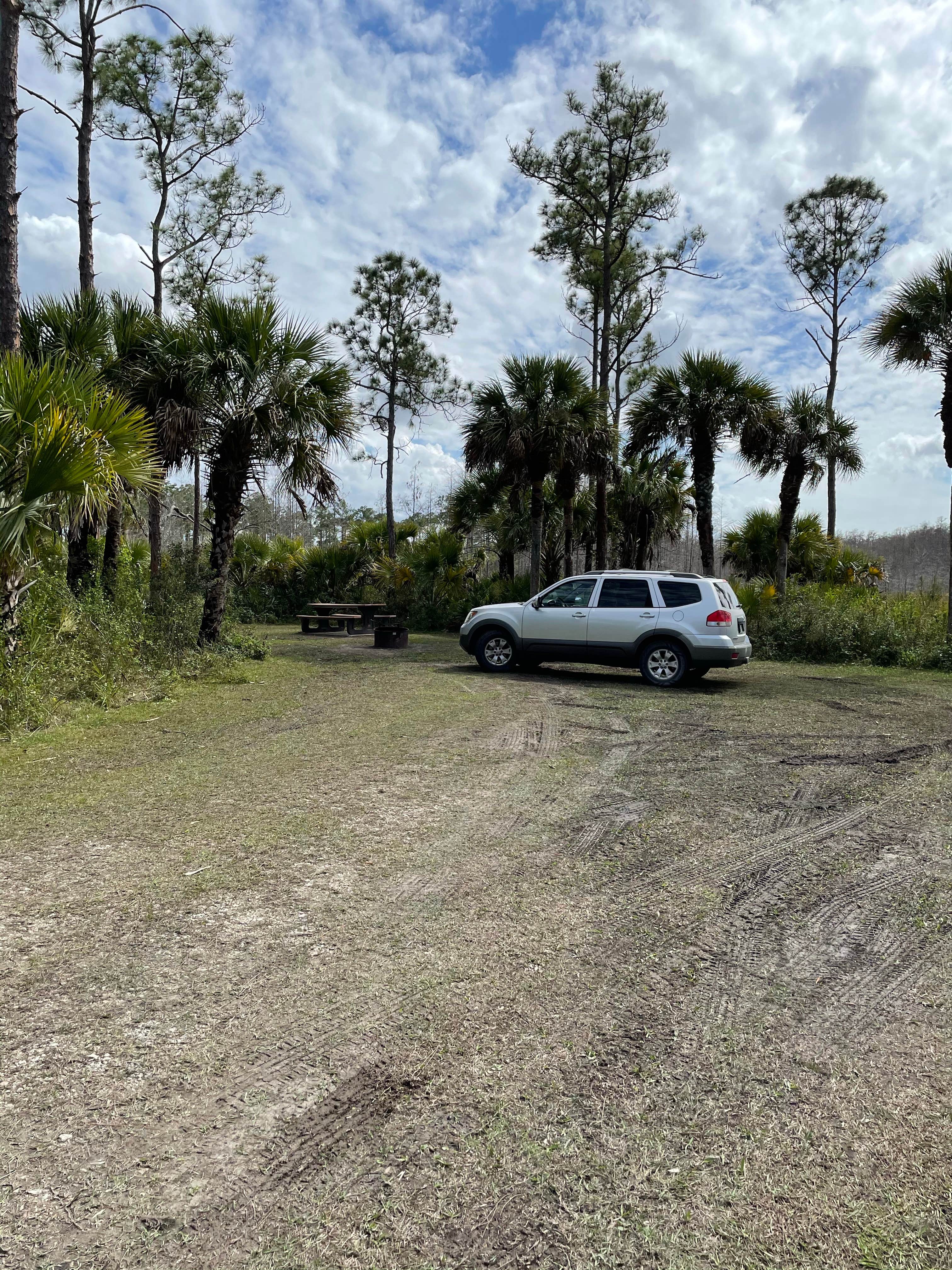 Camper-submitted photo at Bear Island Campground — Big Cypress National Preserve near Big Cypress National Preserve