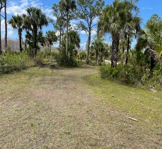 Camper-submitted photo from Mitchell Landing Campground — Big Cypress National Preserve