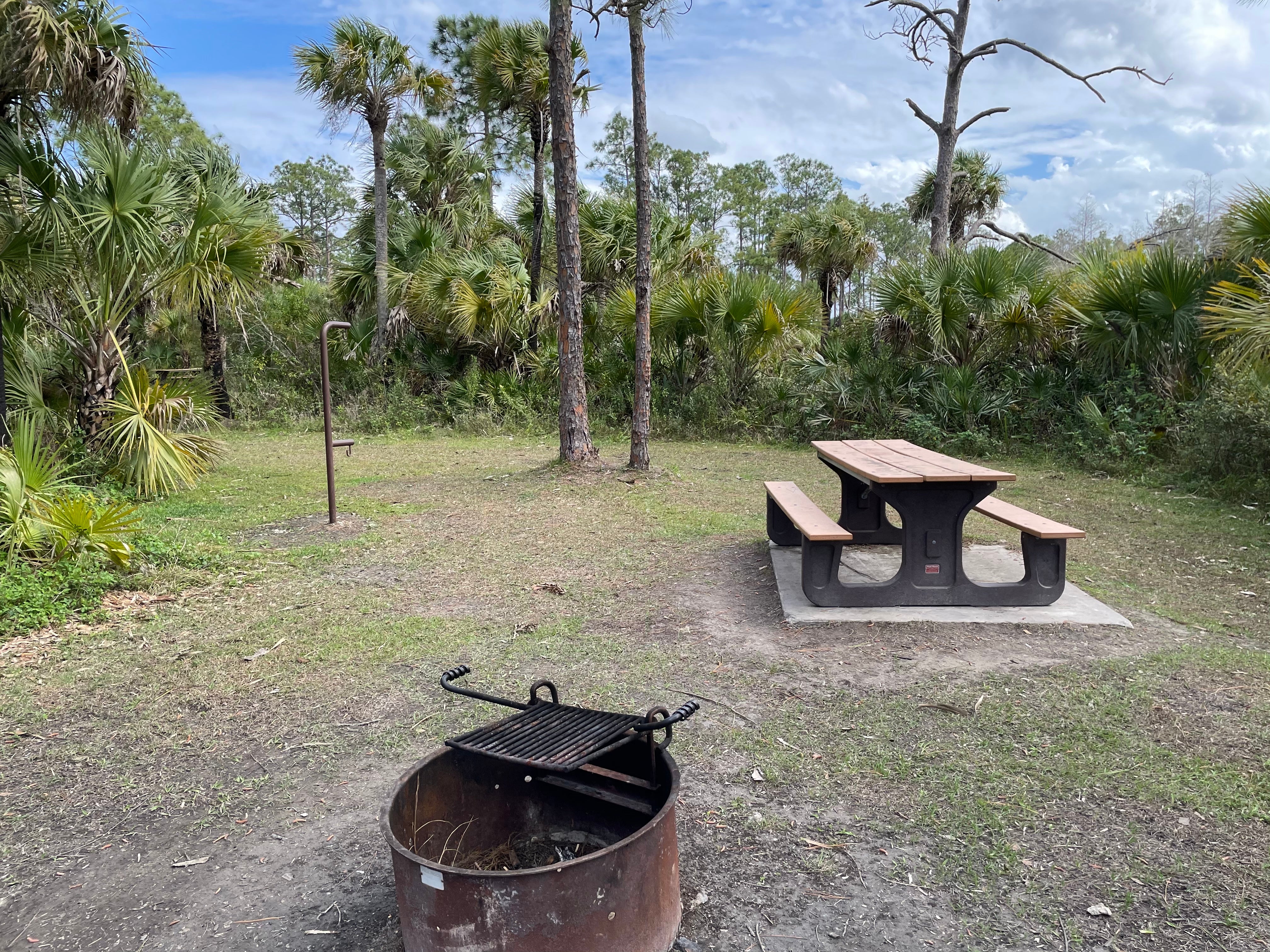 Camper submitted image from Bear Island Campground — Big Cypress National Preserve - 5