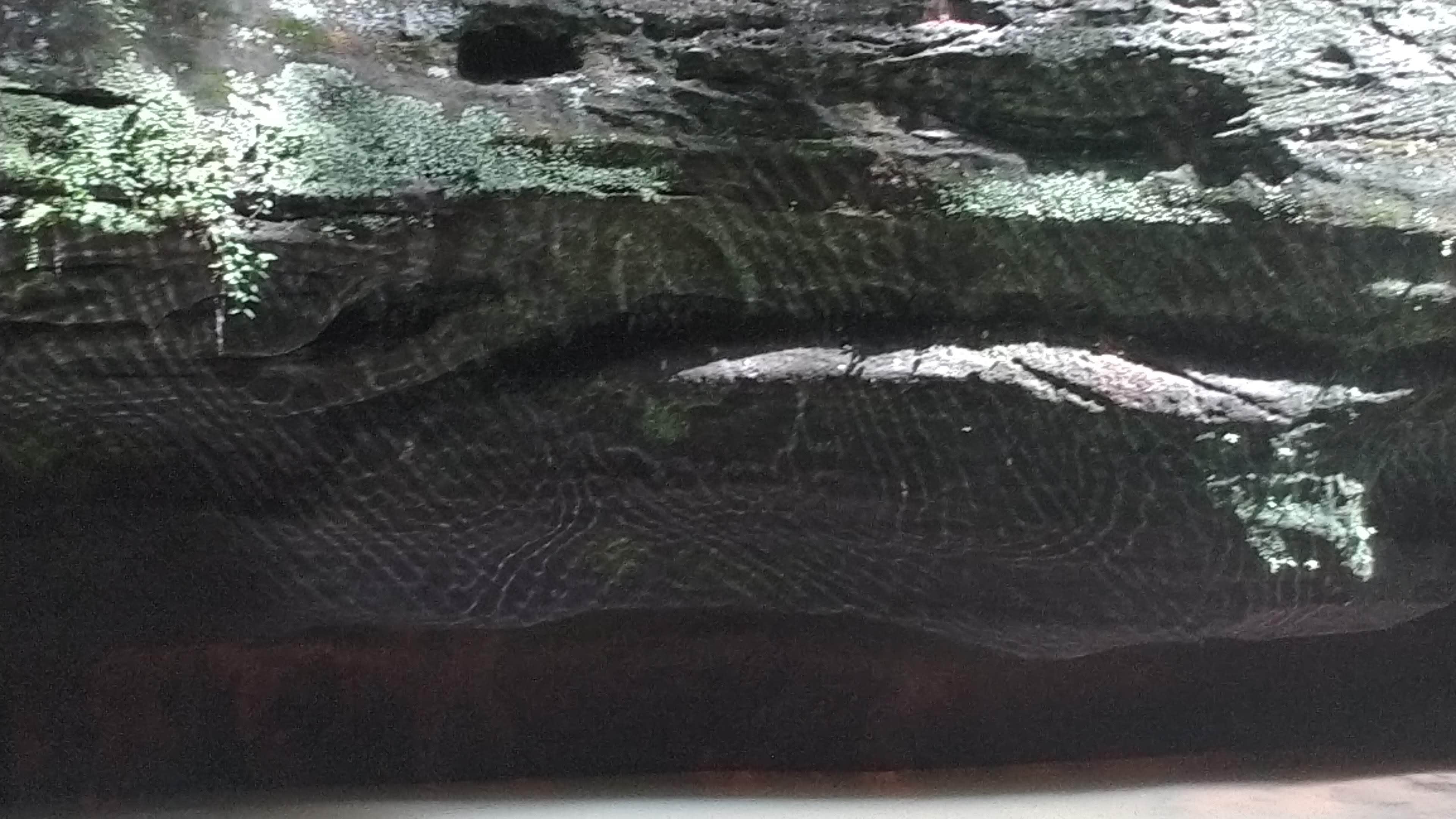 Camper-submitted photo at Starved Rock Campground — Starved Rock State Park in Illinois