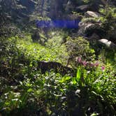 Review photo of Iceberg Lake Backcountry Campground by Daniel  B., May 29, 2018