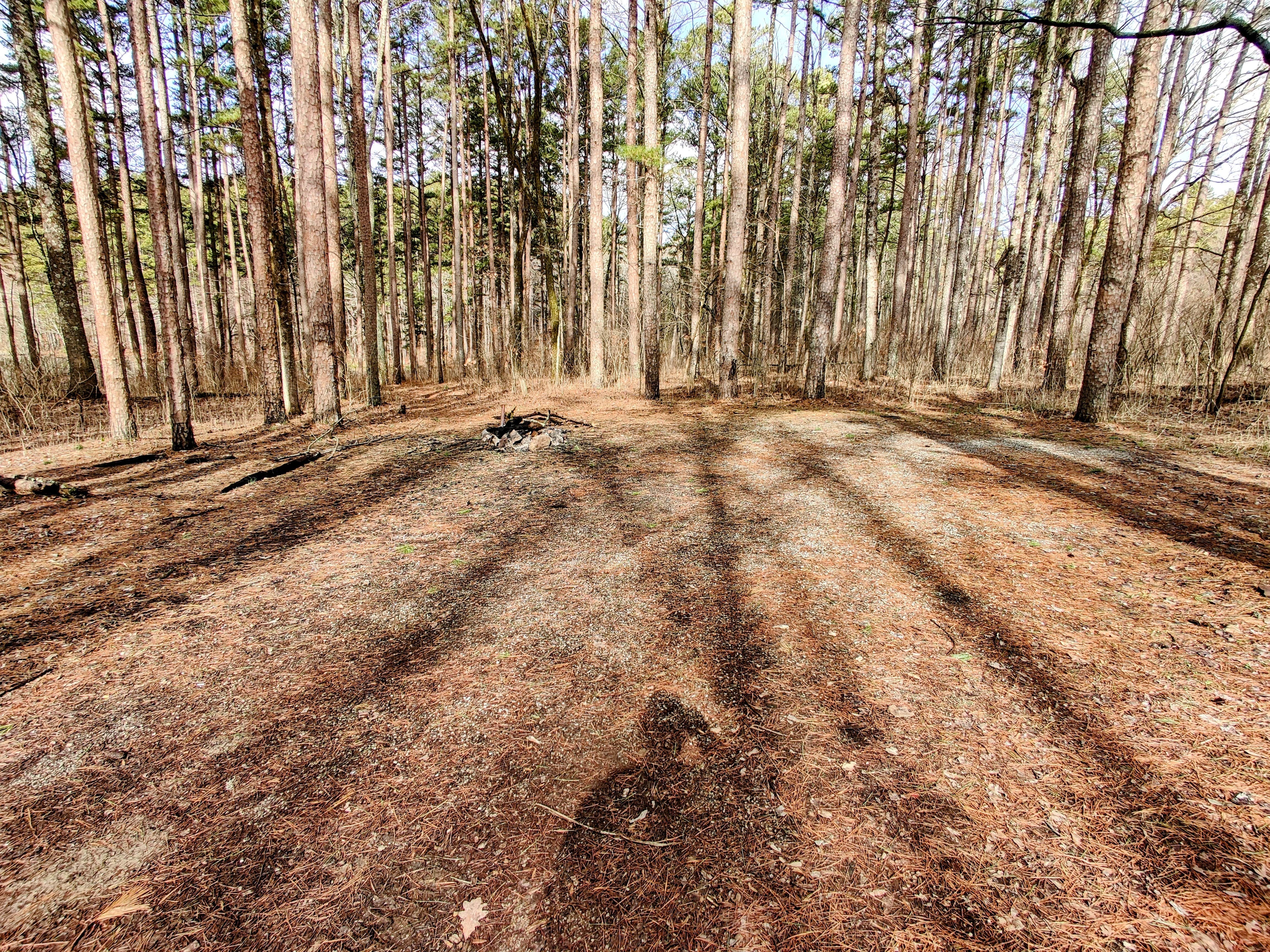 Camping near Pharoah - Garden of the Gods Rec Area Campground: Teal Pond, Eddyville, Illinois