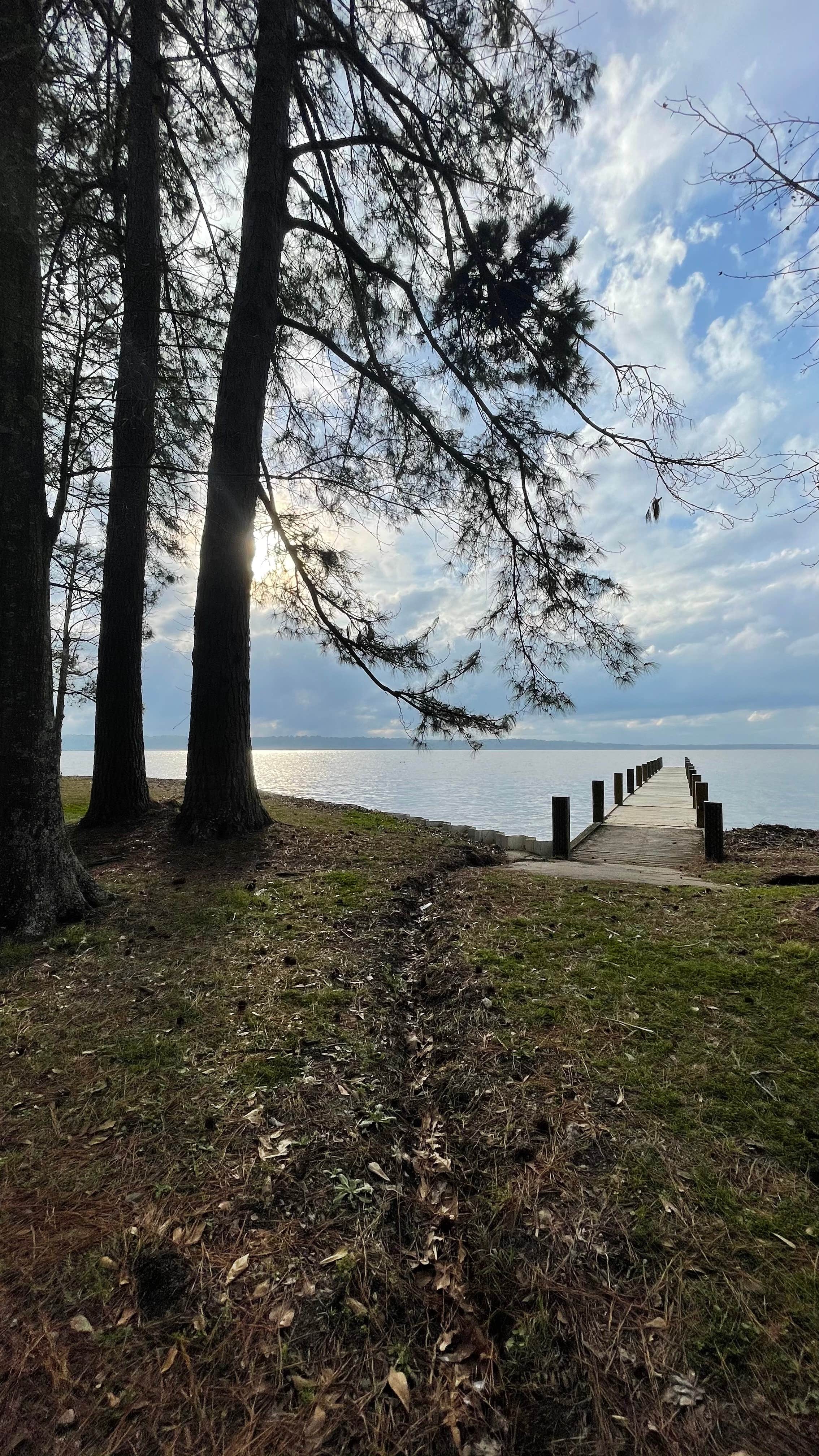 Camper submitted image from Sandy Creek - 3