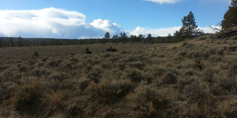 Camper submitted image from Acton Recreation Area