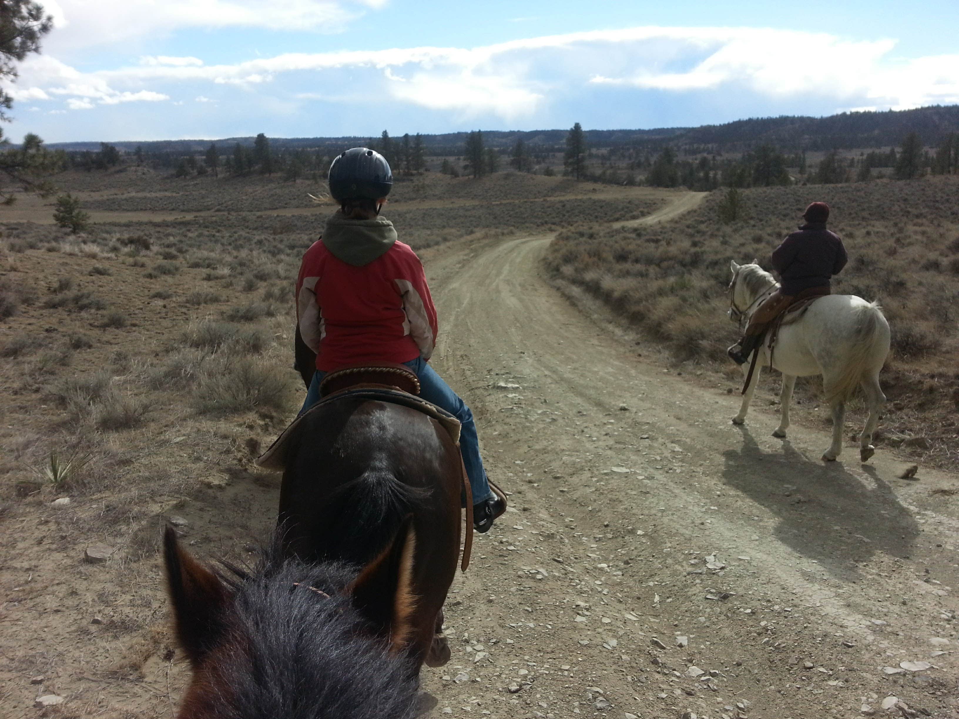 Acton Recreation Area Camping | Acton, MT