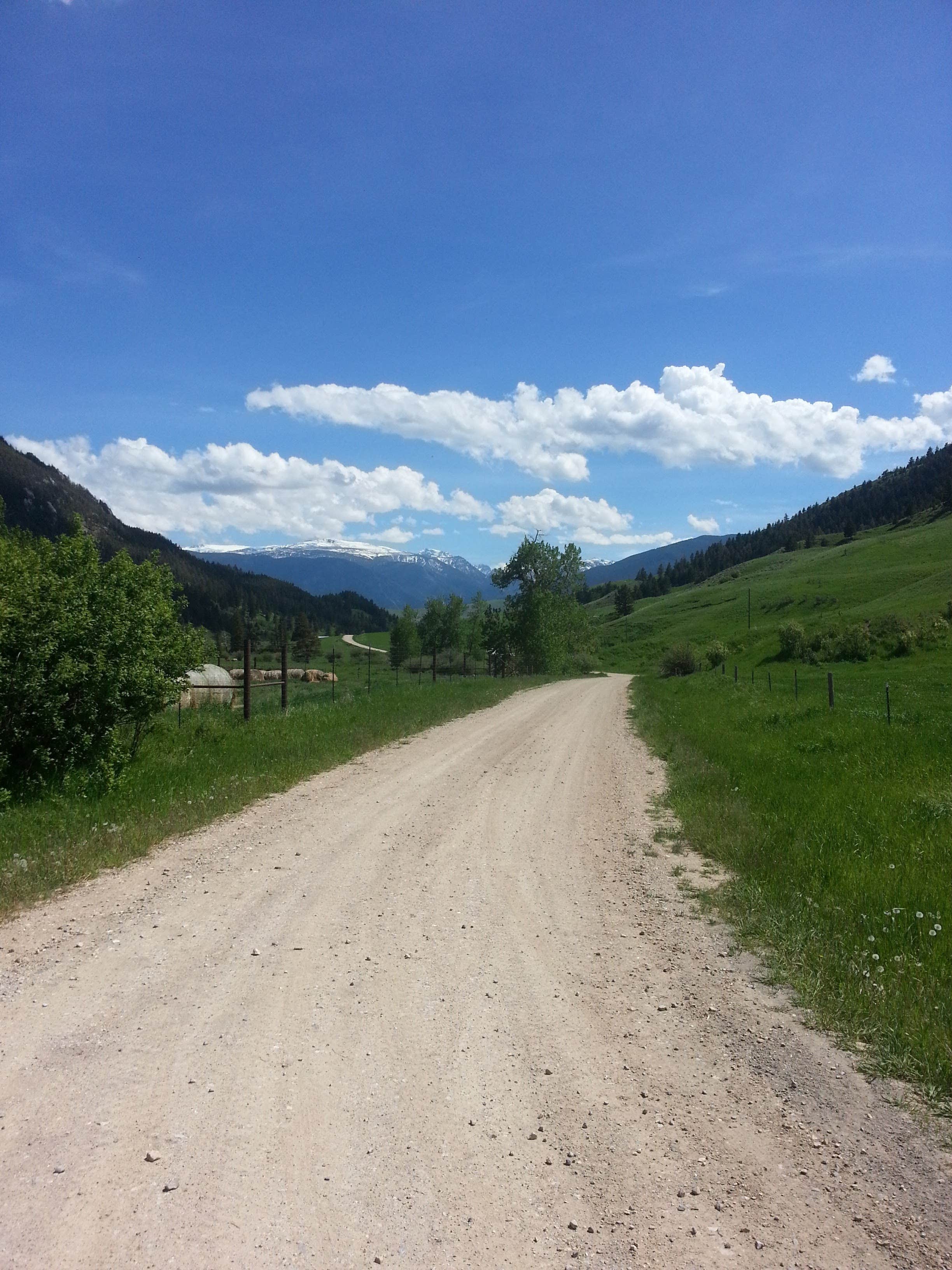Camper submitted image from West Bridger Cabin - 5