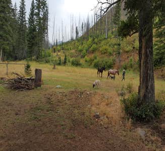 Camper-submitted photo from Deer Creek Cabin (MT)
