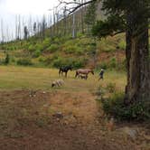 Review photo of Deer Creek Cabin (MT) by Kathi F., February 20, 2021