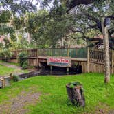 Review photo of Anastasia State Park Campground by Mark D., February 28, 2021