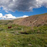 Review photo of Iceberg Lake Backcountry Campground by Daniel  B., May 29, 2018