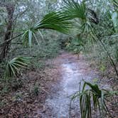 Review photo of Anastasia State Park Campground by Mark D., February 28, 2021
