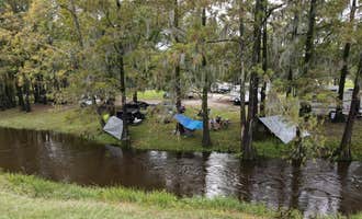 Camping near Croatan National Forest Neuse River Campground: White Oak River Campground, Maysville, North Carolina
