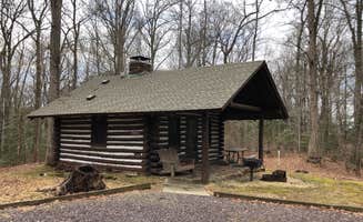 RL's photo of a cabin at Westmoreland State Park Campground near Doswell, VA
