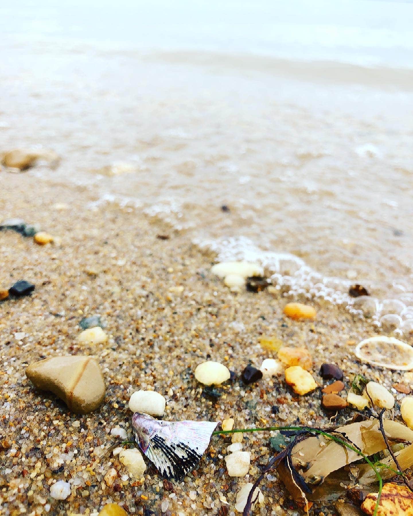 Camper-submitted photo at Westmoreland State Park Campground near Dowell, MD